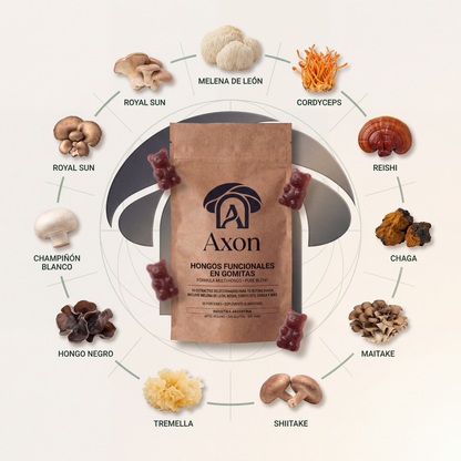 Axon - Gomitas de hongos adaptógenos